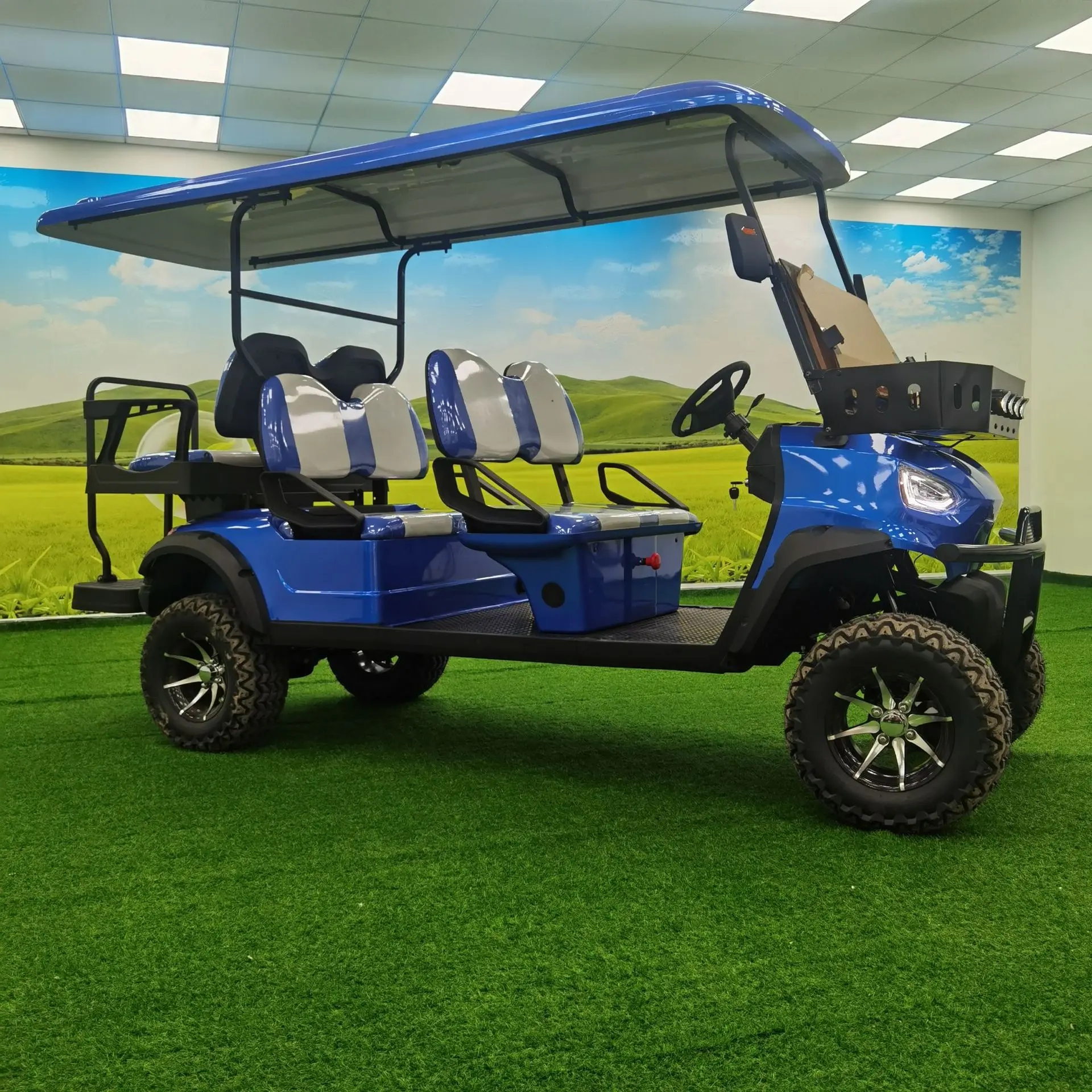 Роскошный новый автомобиль cub carrito de golf gasolina club car обвес