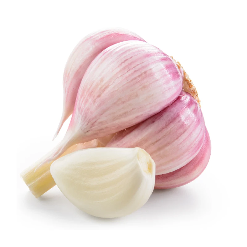 Natural Fresh Garlic Supplier Available Affordable Price