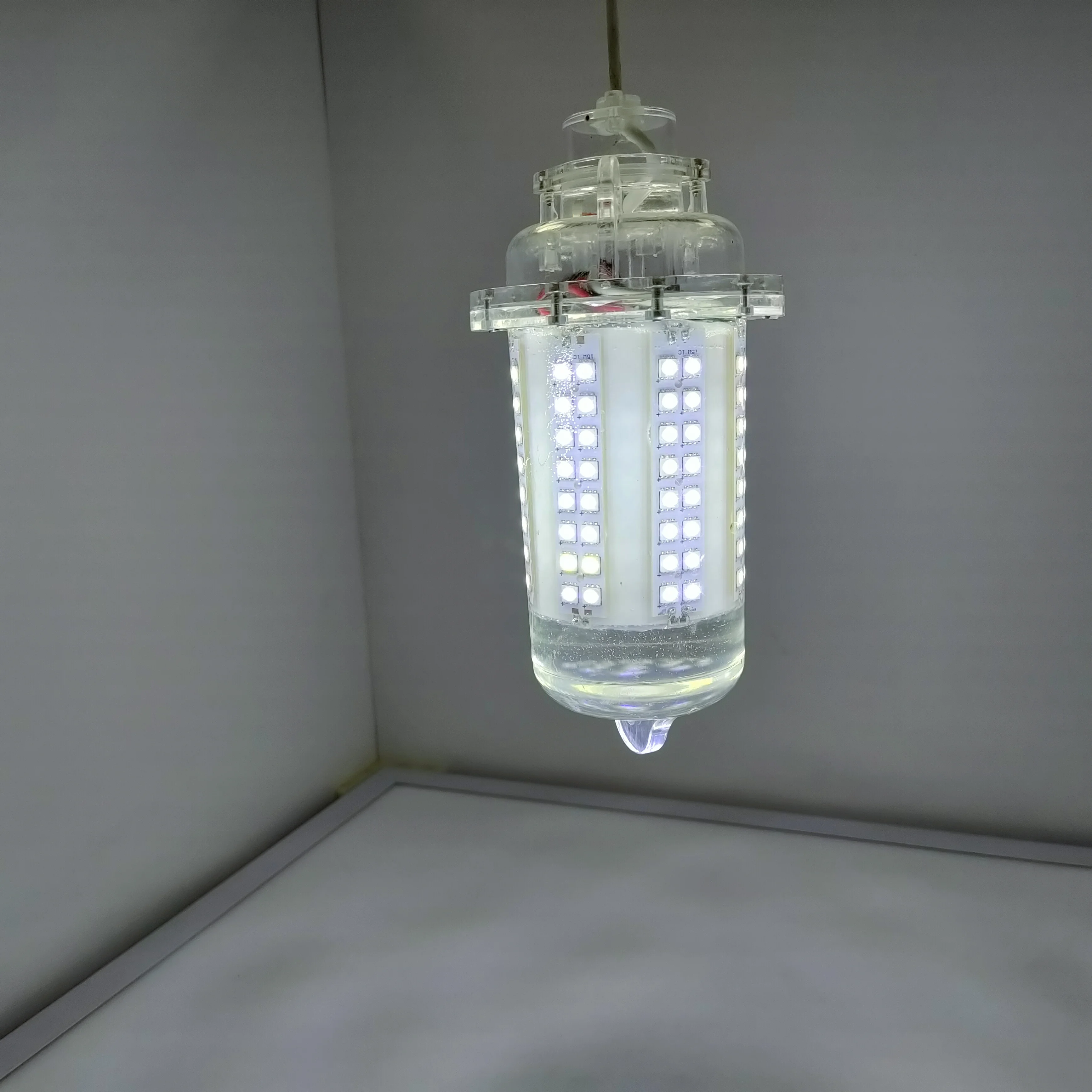 Charging model infrared remote control fish lamp