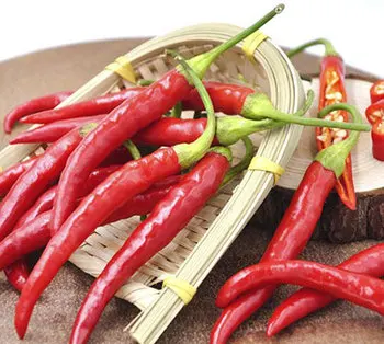 Premium Quality Standard Fresh Red Chili Spices 100% Pure Fresh Hot Chili Pepper At Low Price
