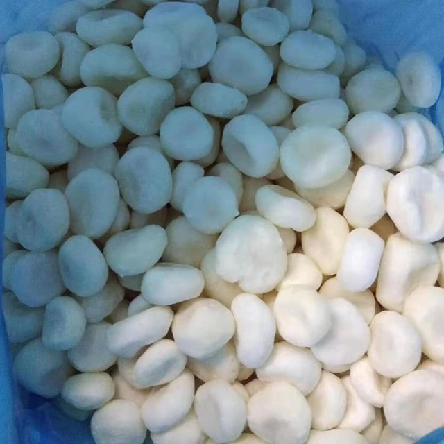 New crop Asian food IQF vegetables bulk deep peeled frozen water chestnut slices