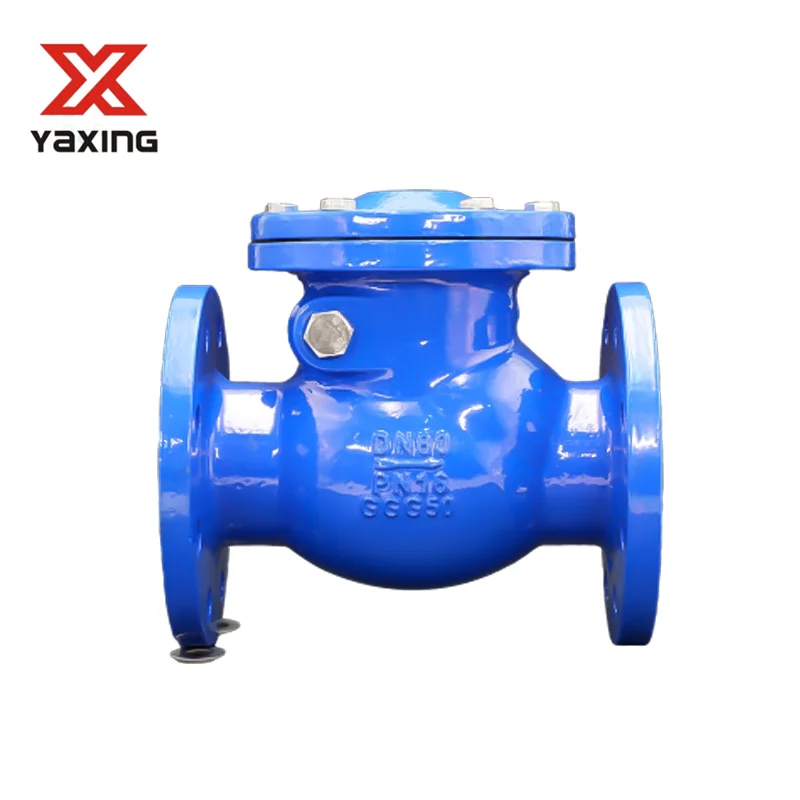 Dn100 4 Inch Pn16 Double Flange Type Cast Iron Non-return Swing Check Valve