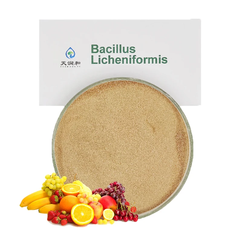 Probiotics Bacillus Licheniformis Beneficial Bacteria For Strawberry