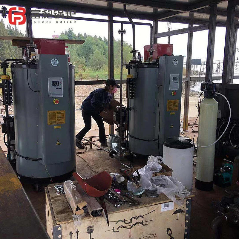 Chinese Ship Thermal Oil Boiler CE Certificate 500 KG