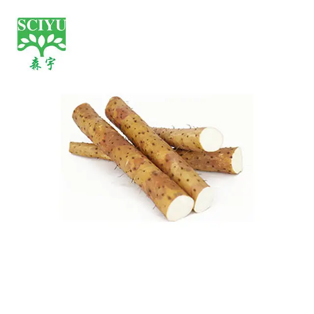 16% Diosgenin Dioscorea Villosa Wild Yam Root Extract Powder