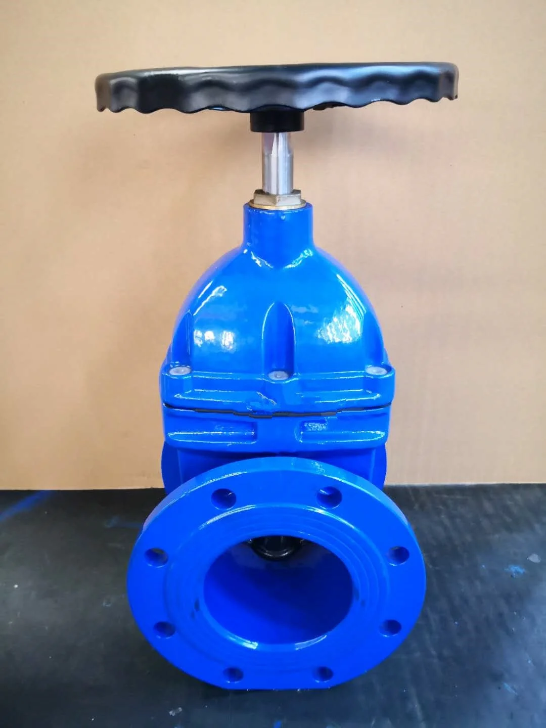 water gate valve