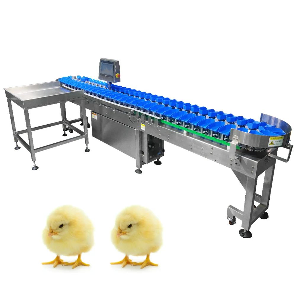 TT-WSM-02 Automatic Weight Sorting Machine Weight Sorter for Mango sorter and fruit sorter