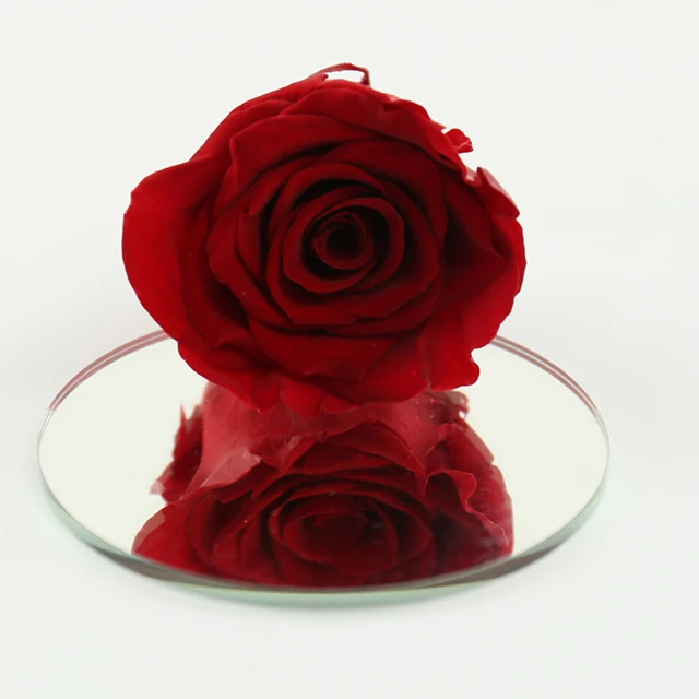 wholesale 8 pcs/box everlasting rose real touch dried flower preserved roses head 4-5 cm grade b