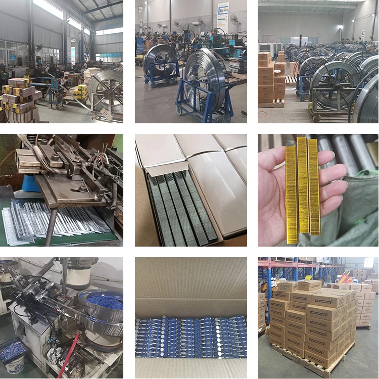 Furniture Sofa Galvanized Staples 22ga 7104 7106 7108 7110 7112 7114 7116 U Shaped 71 Series Pneumatic Nail