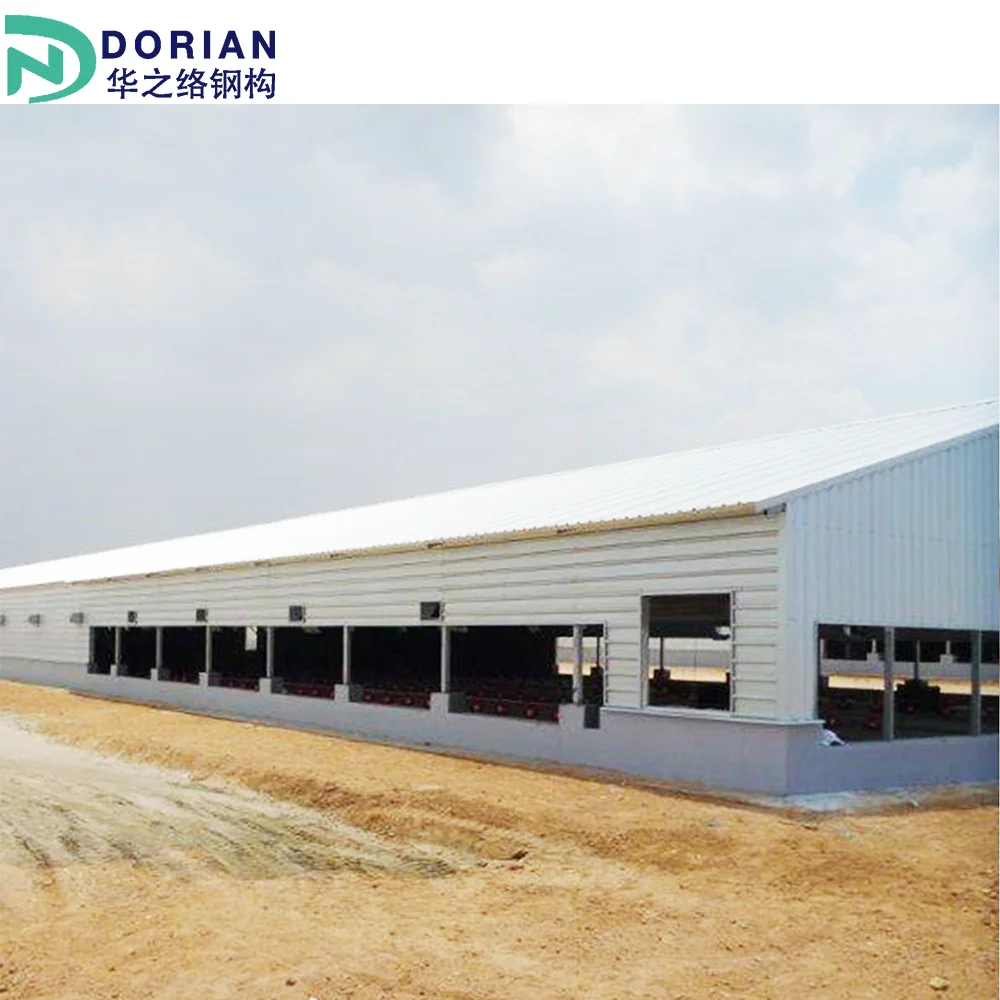 Low Cost chicken house floor poultry farm Designs Prefabricated Steel Structure chicken farm building kit sets nz