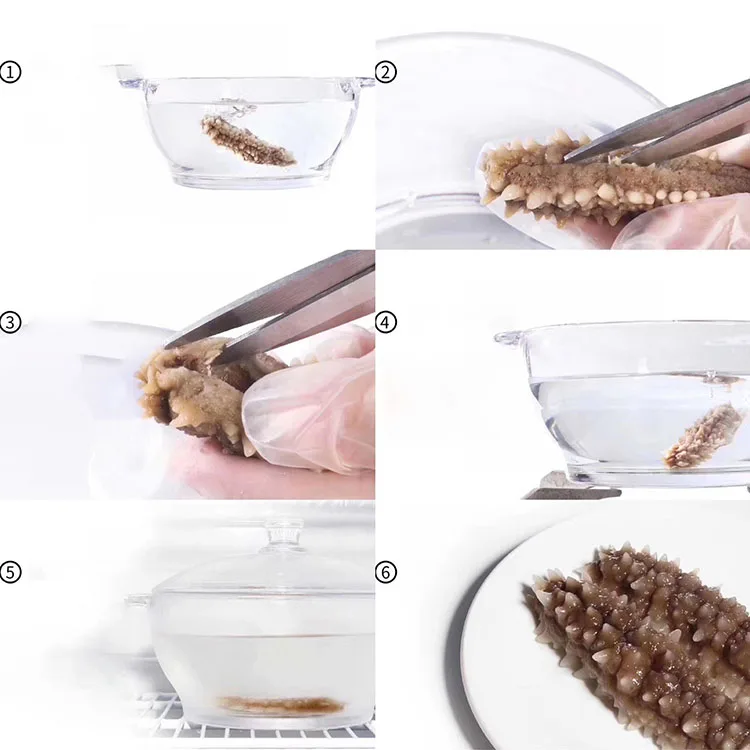 High Quality Wholesale Indonesia Sea Cucumber Dried For Sea Cucumber