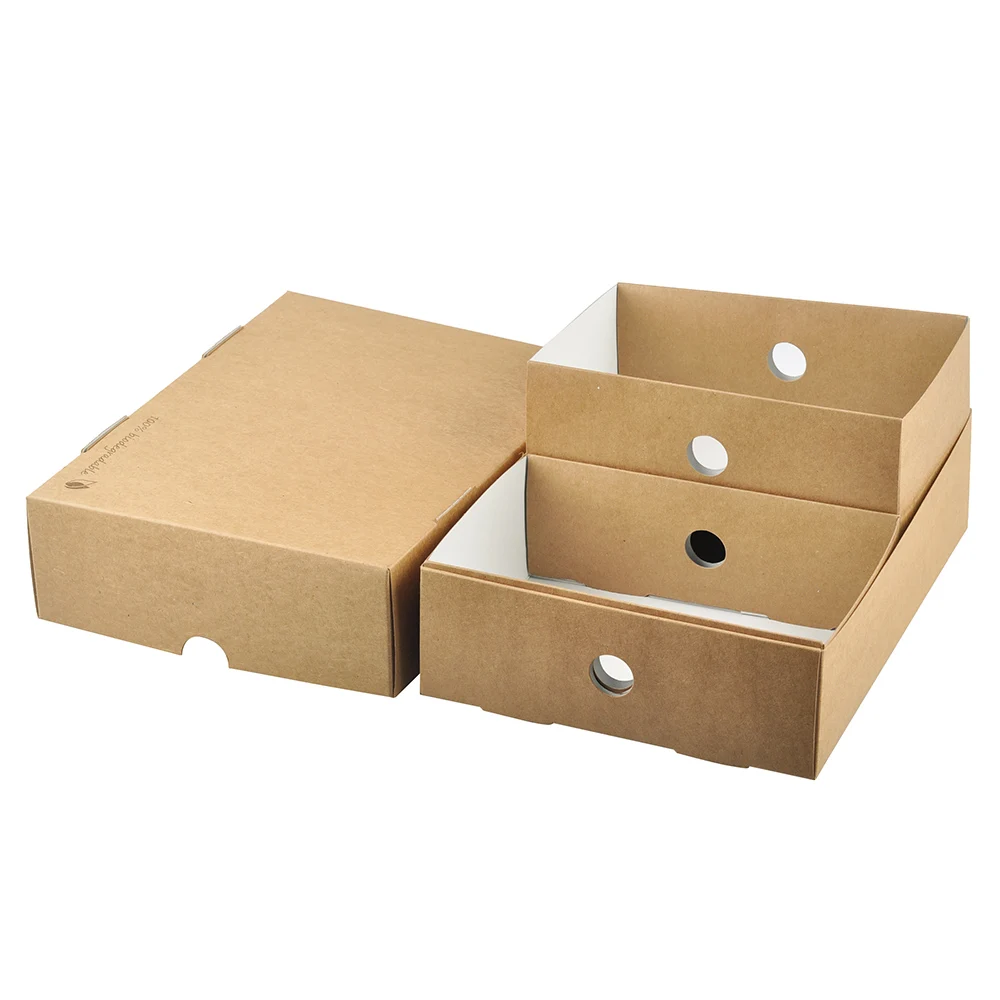 Healthy platter food boxes, baguette boxes, take-away food packaging