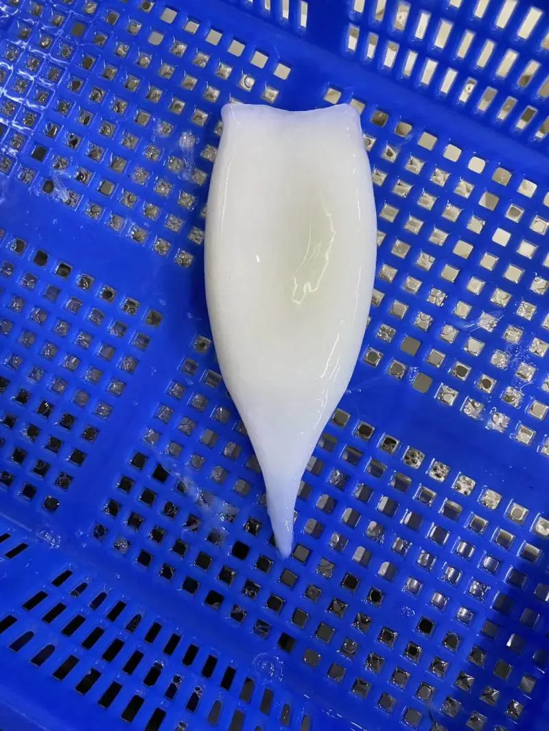 Good quality frozen illex squid tube skinless tip on