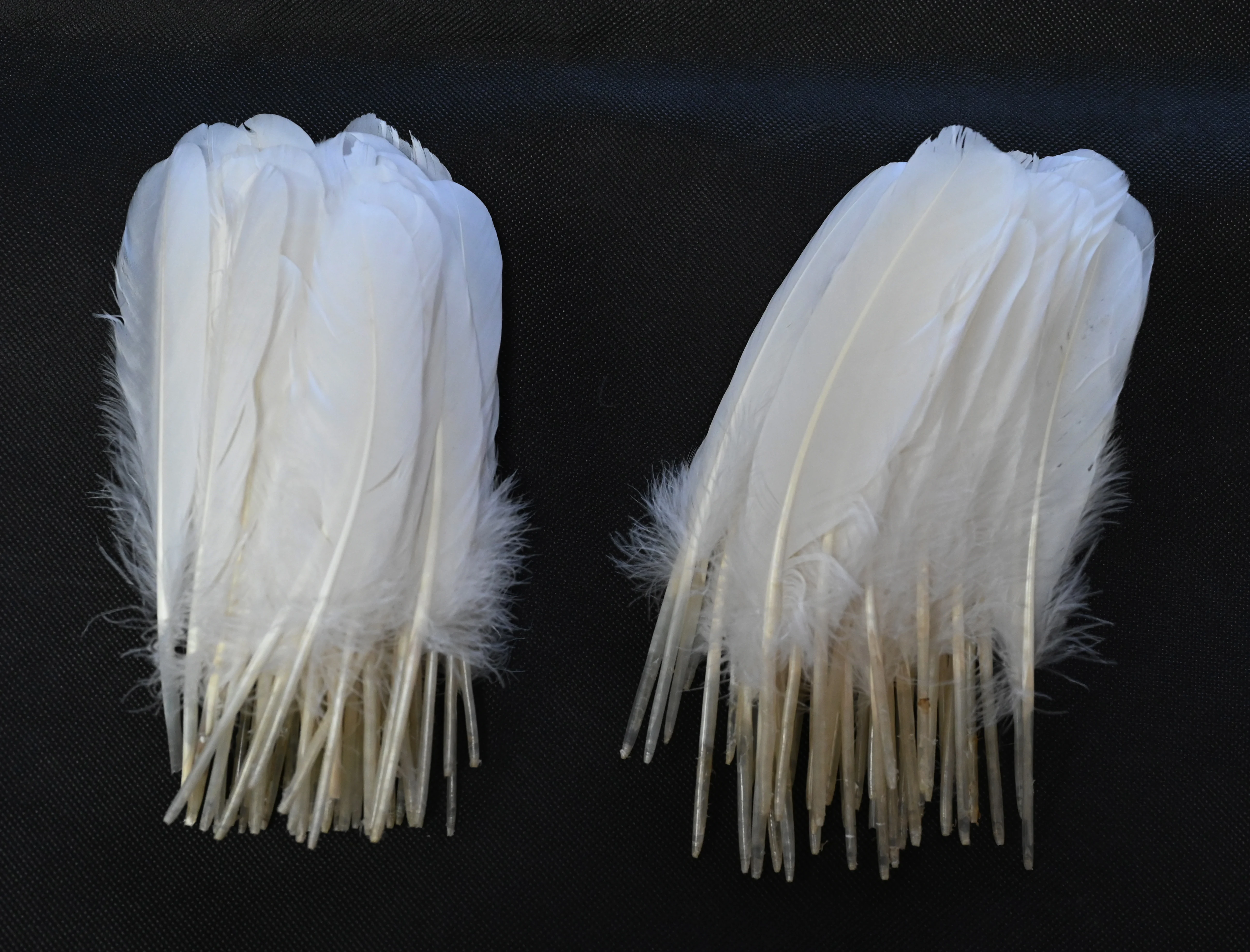 Authentic washed left and right side parted loose goose feathers