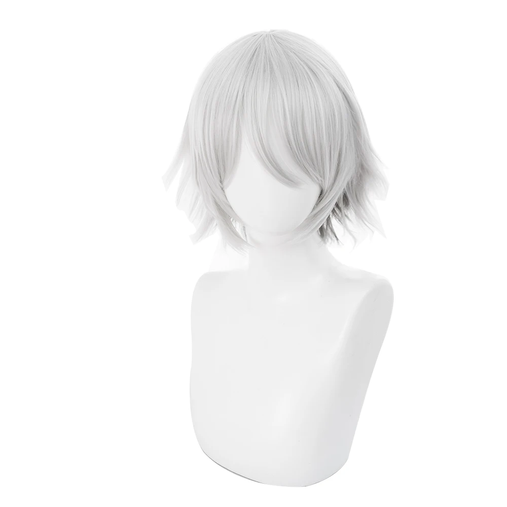 
Fate/GrandOrder FGO Lan Lin Wang Adult men GRAY short Wig Cosplay Christmas Cosplay wig 235BB 