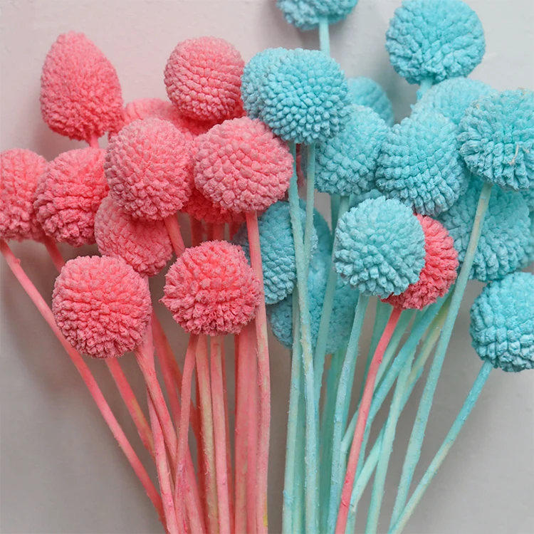 A-20 wholesale cheap natural Golden ball dry for candles arrangement resin Decorative flowers dried flower