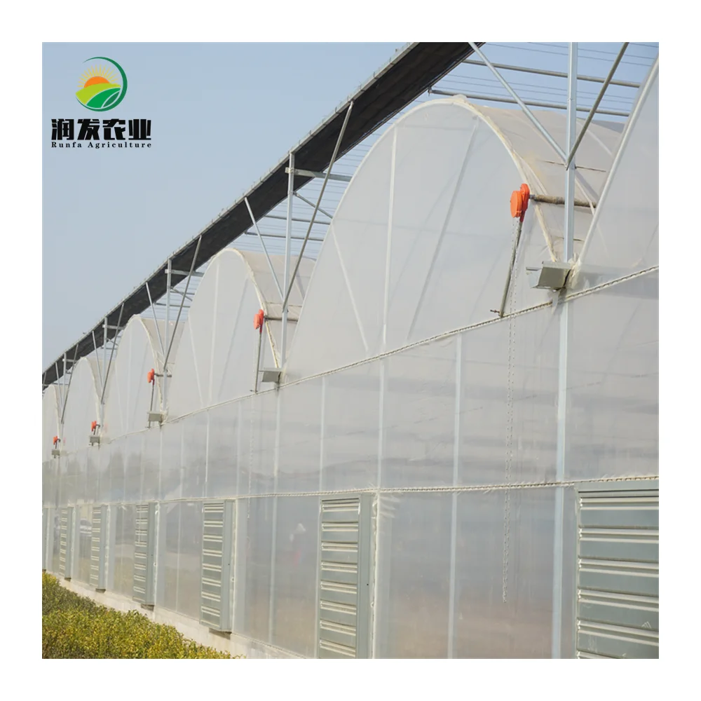 Agricultural Green House Metal Frame Multi-Span Film Greenhouse with Hydroponic and Automatic Irrigation System