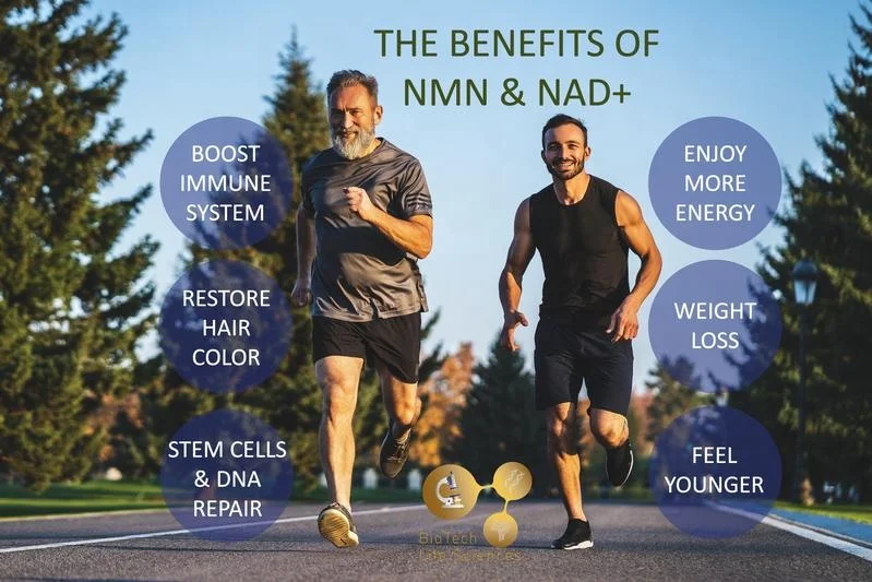 
Factory supply OEM NMN nicotinamide capsules supplements 