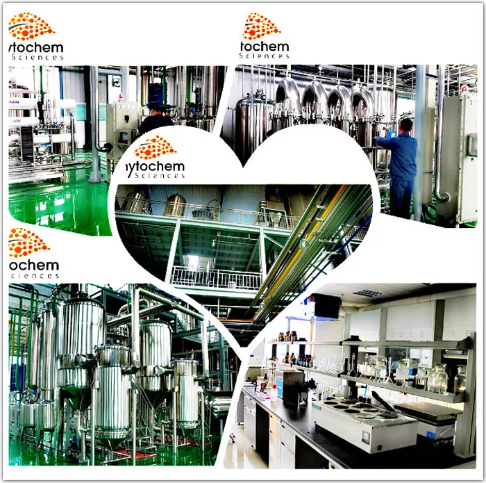 
Devils Claw Extract 5% Harpagosides by UV Harpagophytum Procumbens Extract 