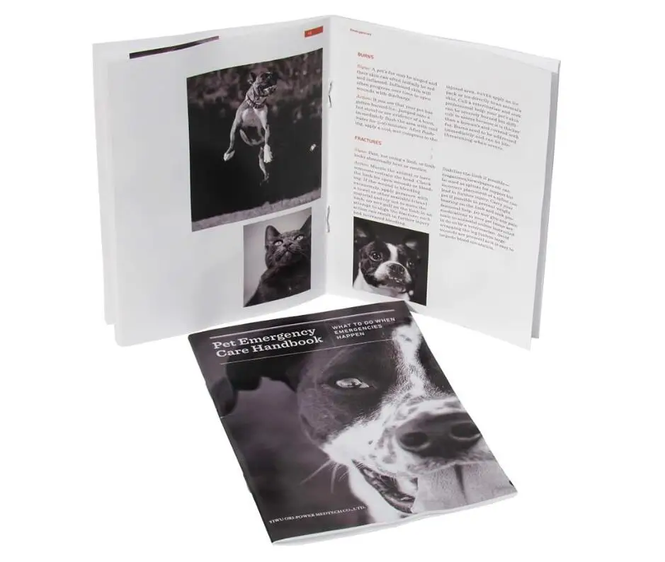 Oripower Custom Design Amazon Hot Selling Wholesale Pet First Aid Kit EVA Case Bag For Dogs Compact Mini Pet First Aid Kit