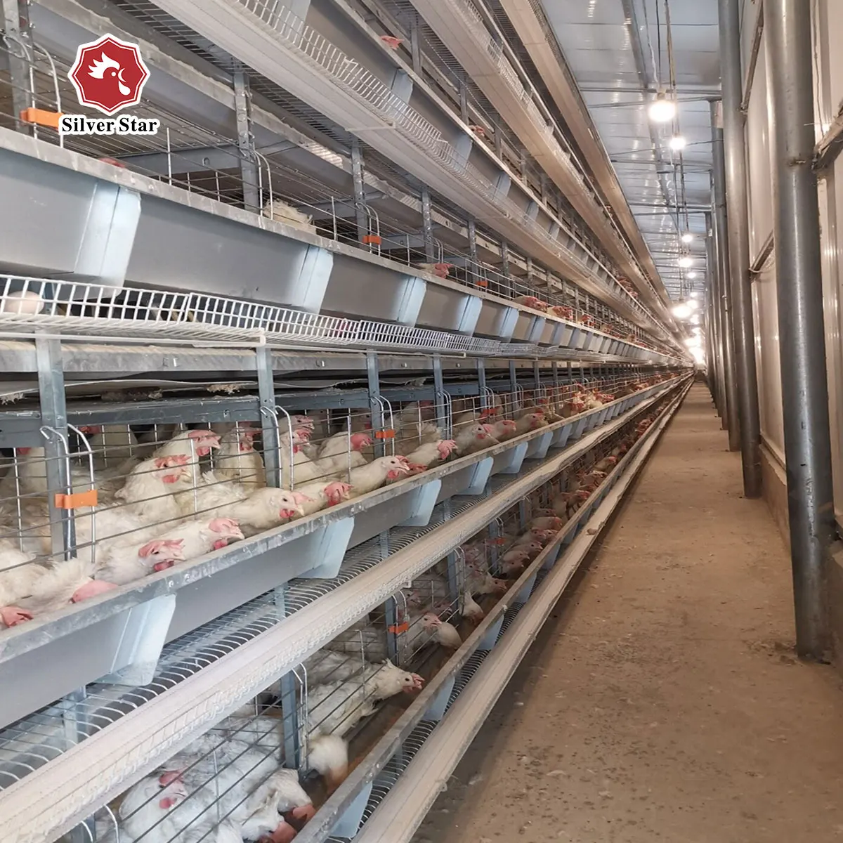 Low Carbon Steel Wire Layer Quail Battery Chicken Cages With Auto Water System