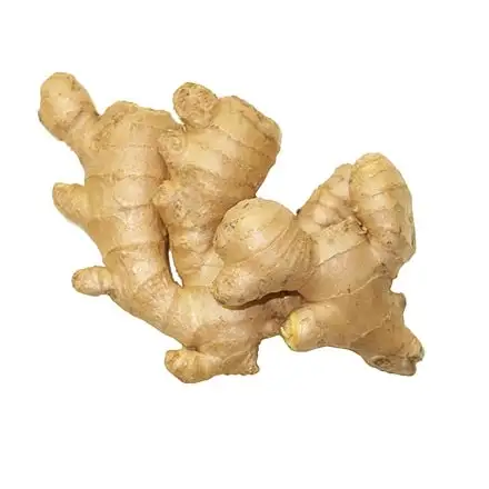 EU standard of Fresh Ginger from Vietnam Single spices & herbs with special offer for red ginger buyer