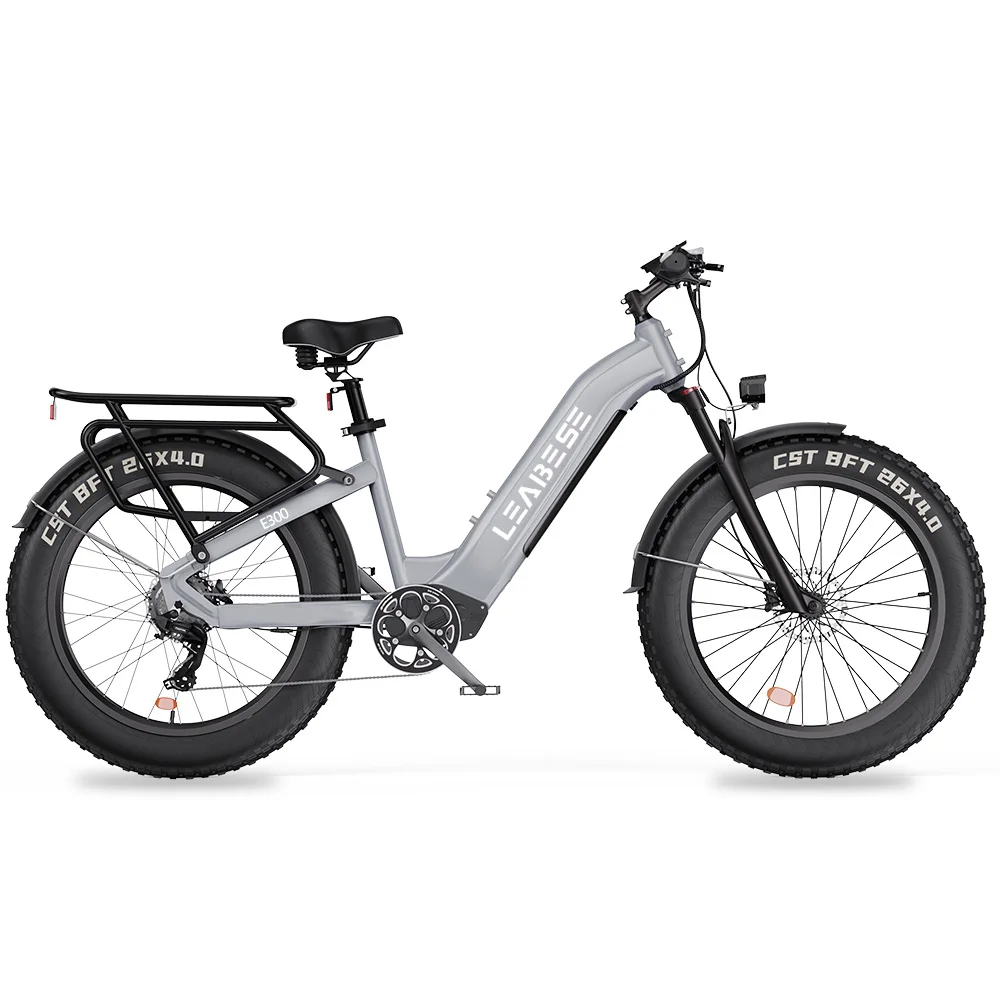 US Warehouse E Bike E-Bike Dual Motor 750w Electric Bike Adult Strong Power Electric Bicycle City Ebike