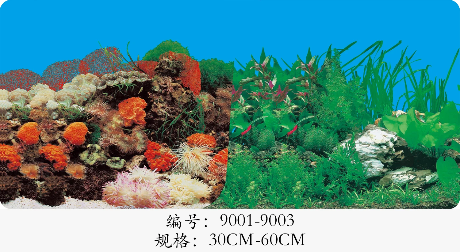 High Definition Painting for Fish Tank Decoration Adhesive Aquarium Background Paper 3D Double Sided Picture
