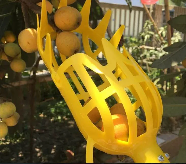 Most popular garden adjustable fruit picking tool  outdoor extendable fruit picker