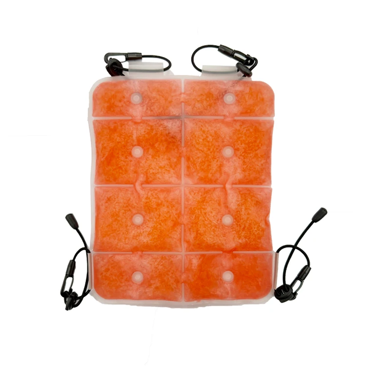 Trending Products 2024 New Arrivals Beer Lunch Soft Cooler Bag Food Sports Equipment Backpack Cooler Pad