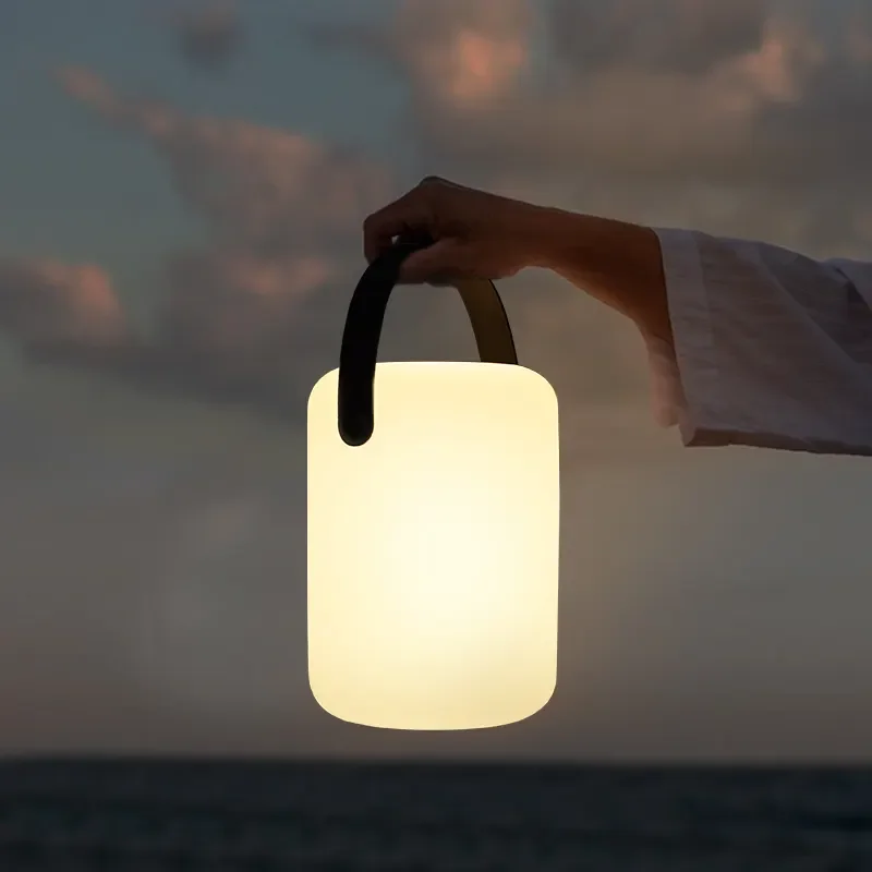 Color Change Outdoor/Indoor Remote Table Desk Bar Light LED Camping Portable Rechargeable Hand Night Lamp