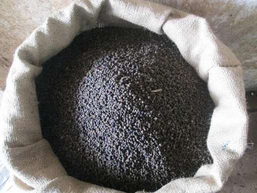 Dried Black Pepper - Top Choice Wholesale High Quality No Heavy Mental Dried Black Pepper from Viet Nam