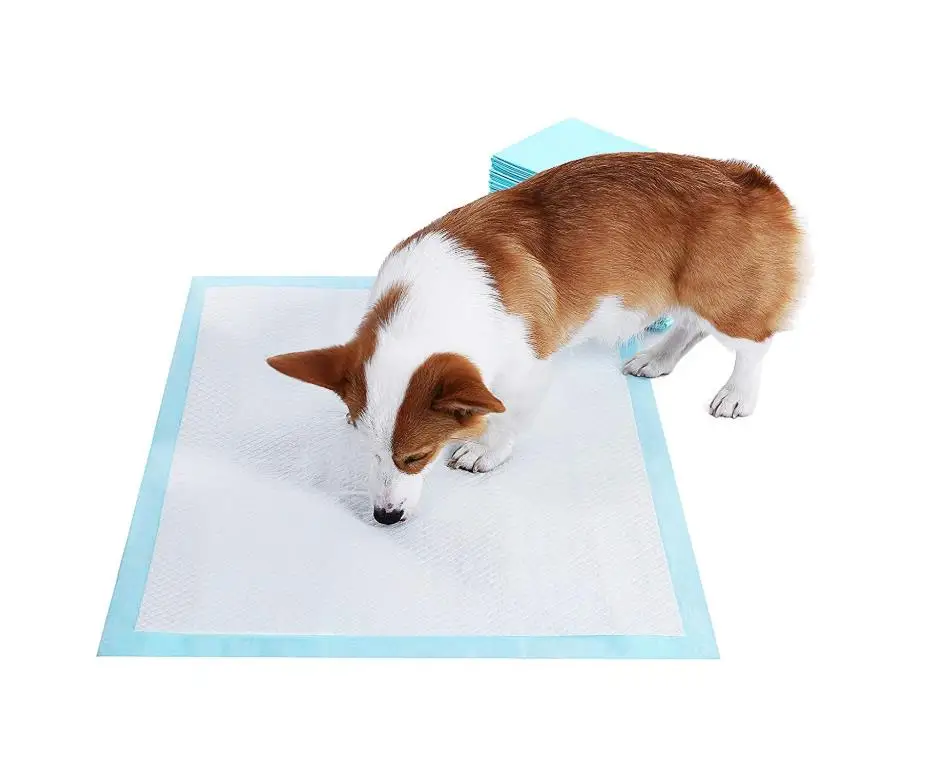 OEM customized high quality puppy training product disposable super dog pee absorbent pet training pad