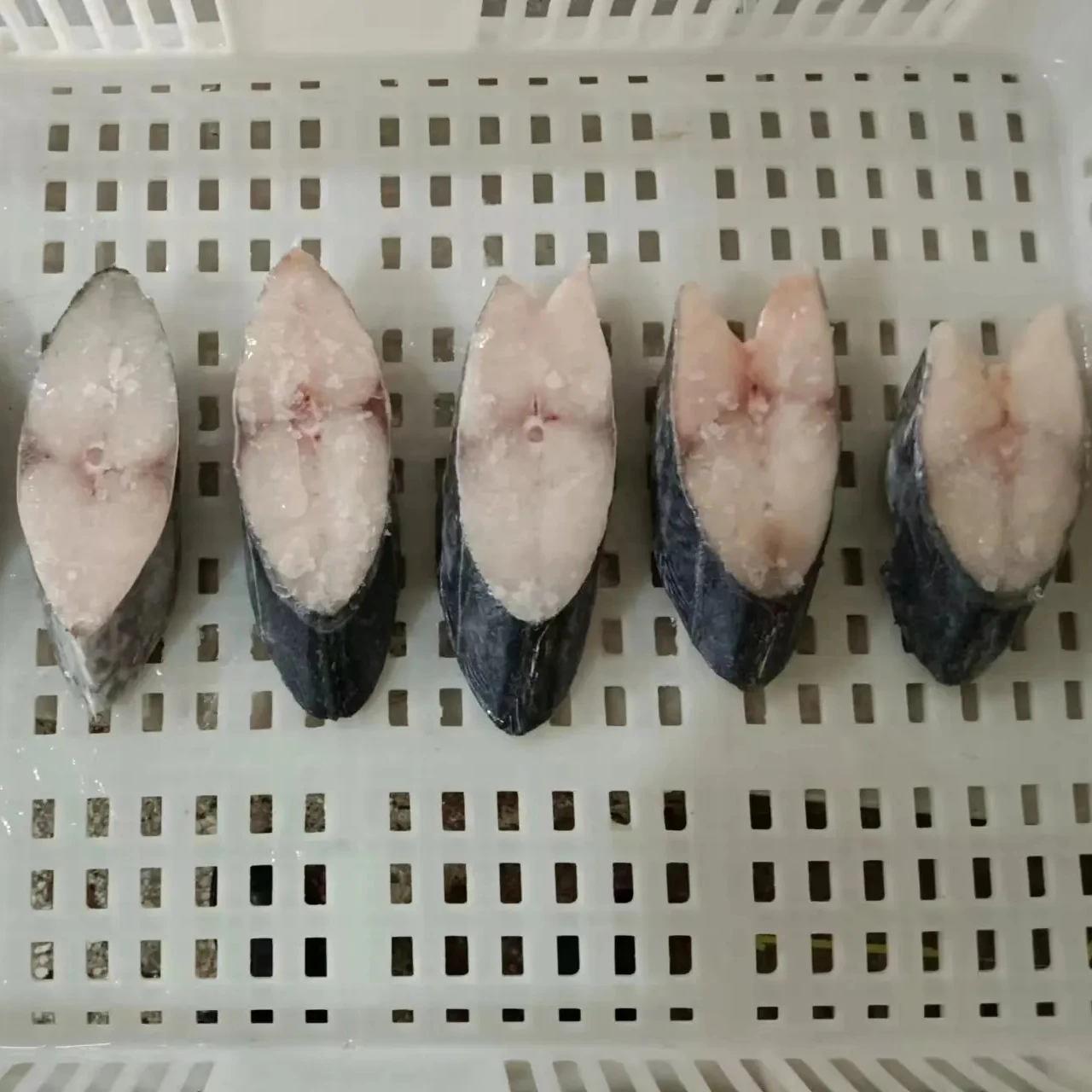 Frozen Seafood IQF Whole Round Steak Spotted Spanish Mackerel Fish