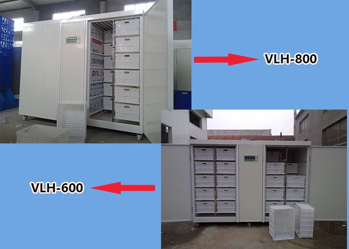 bean sprout breeding germination growding machine equipment price with best quality production line baskets pot 220v