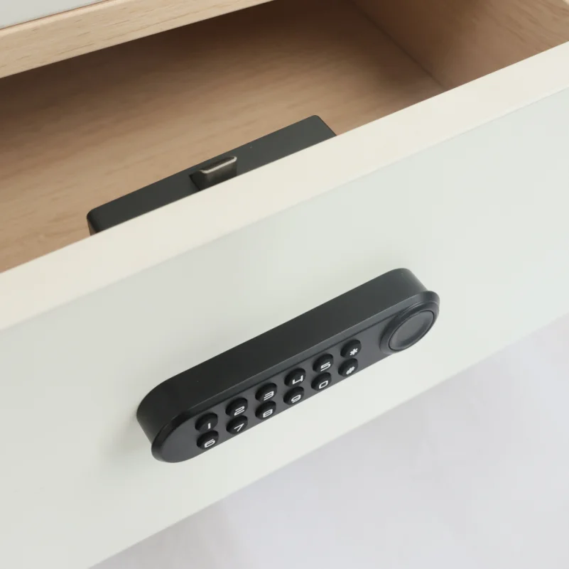 Qidots F035 Electric Fingerprint Password Lock Keyless Digital Keypad Code Cabinet Lock Sauna Locker 125khz Locker Lock