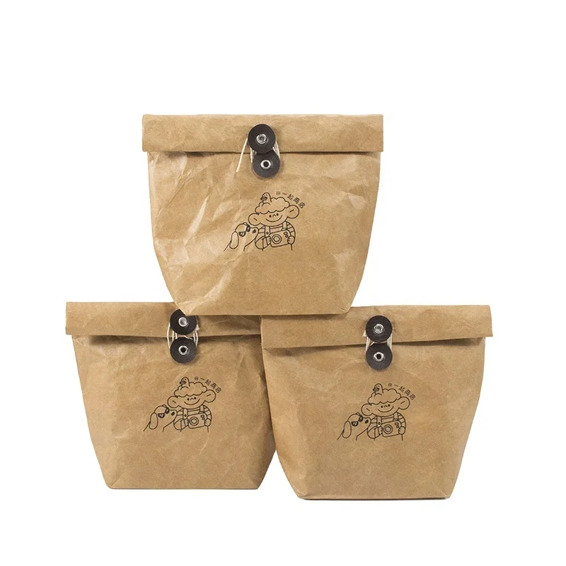 Cheap Factory Custom Tyvek Portable Foldable Kraft Paper Cool Lunch Bag Waterproof Dupont Paper Bag