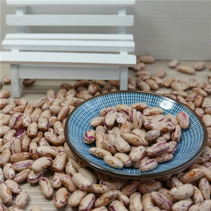 New Crop LSKB Long Shape Organic Dried Pinto Light Speckled Kidney Beans