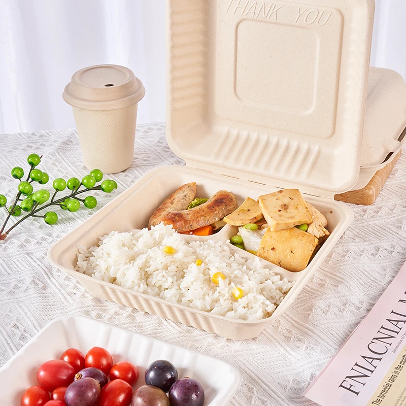 High-Temperature Disposable Lunch Box With Lid Takeaway Food Tray For BBQ Baking Sugarcane Bagasse Containers Disposable Plates
