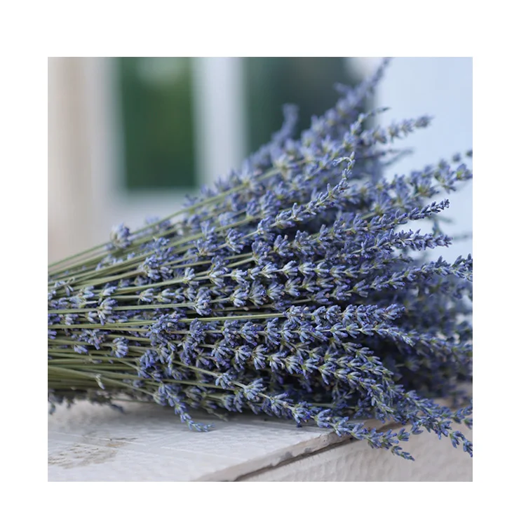 
Wholesale Customized Good Quality Dried Flower Bride Bouquet Of Flowers 