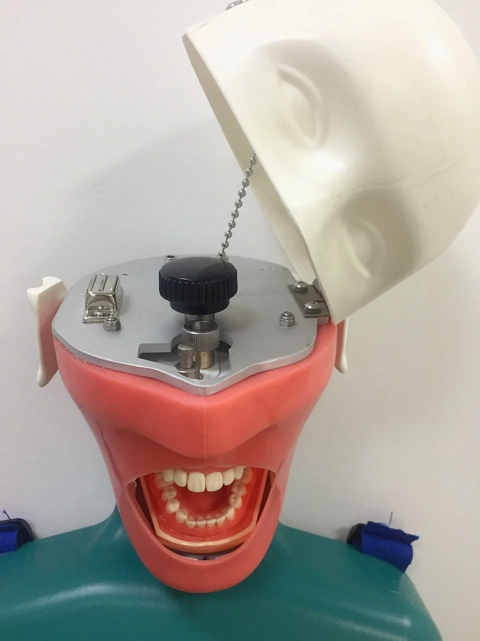 Dental Equipment Lab Educational Supplies Dummy Manikin Phantom Head with Typodont teeth model for Practice