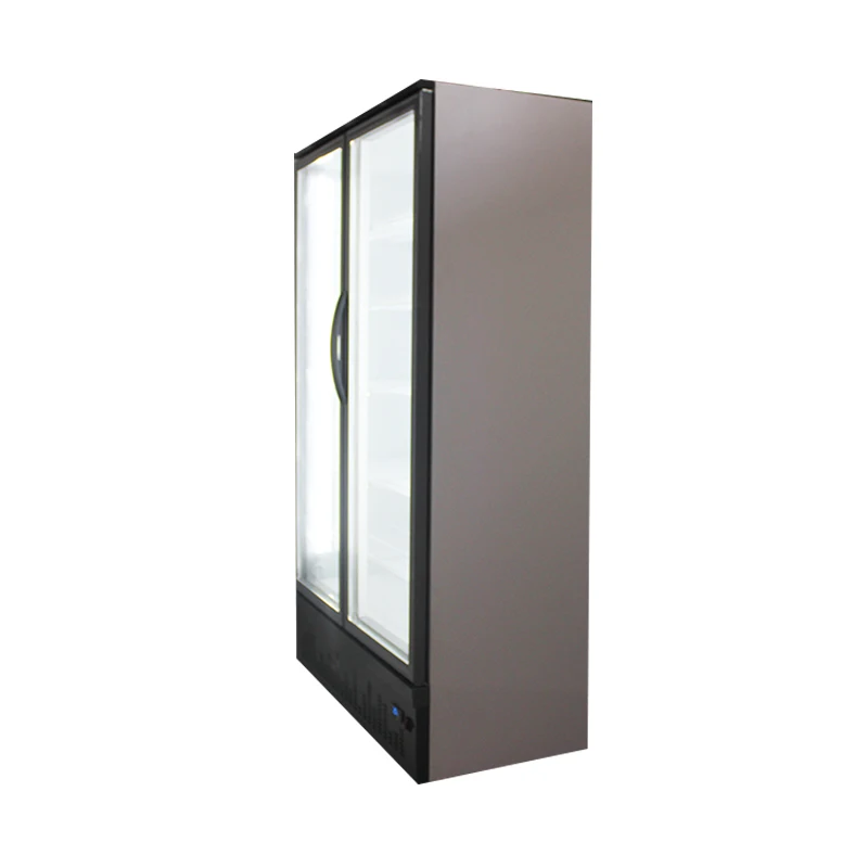 850L Upright Single-Temperature Display Cooler Supermarket Vertical Freezer with Auto Defrost Glass Construction Cool Climate