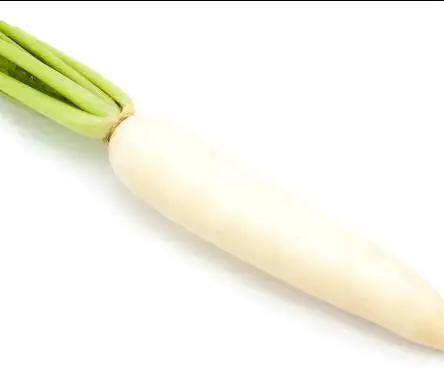 Best-selling Direct Commercial wholesaler of refreshing white radish