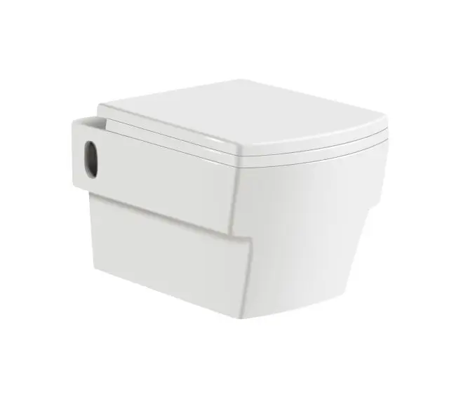 Подвесной туалетный матовый черный цвет P Ловушка керамический шкаф для воды ванная комната без оправы настенные туалеты