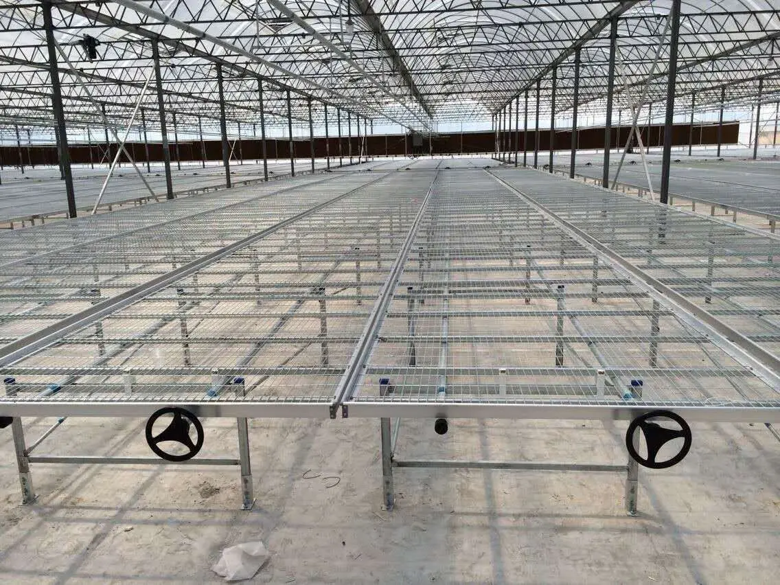 The double-layer tidal seedbed used in greenhouse is used for seedling cultivation