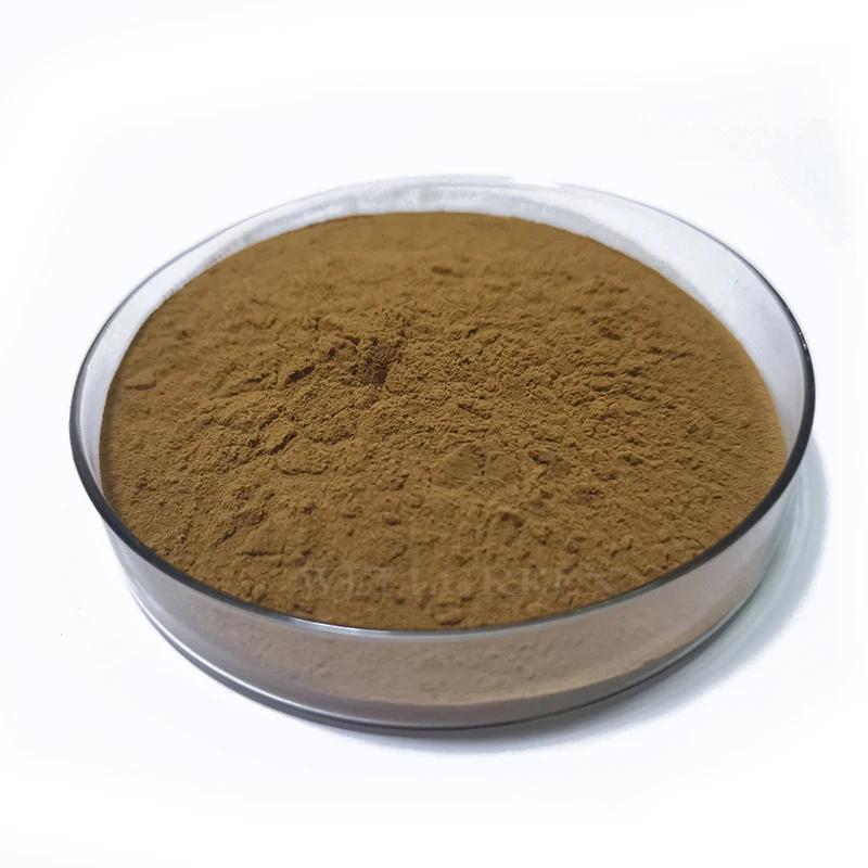 
100% Natural Ivy Leaf Extract Powder Bulk 10% Hederacoside C Ivy Leaf p.e. 