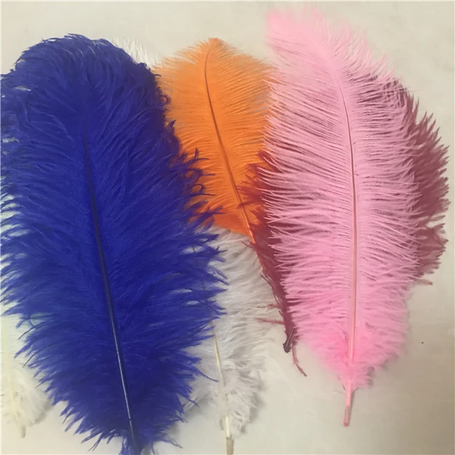 Large White Carnival Festival Ostrich Feather
