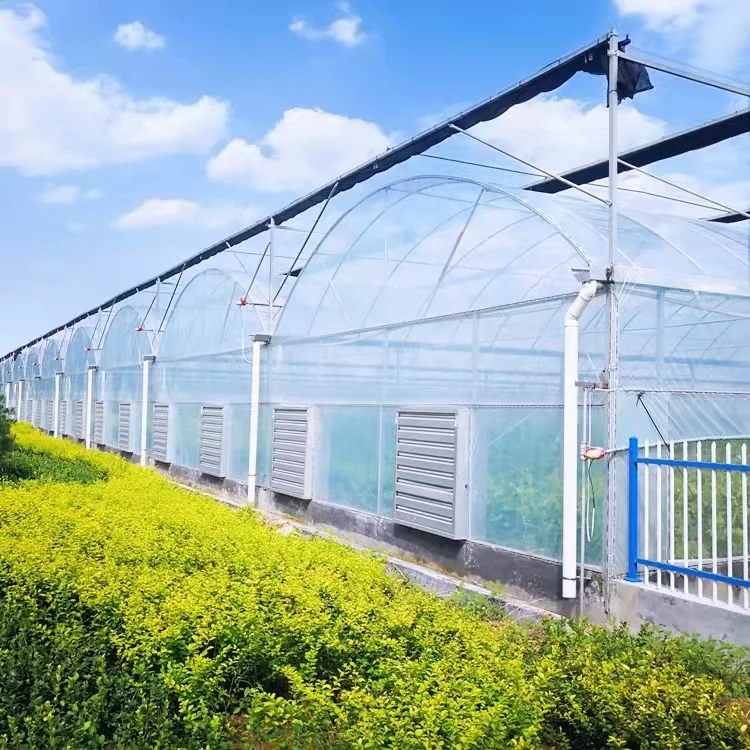 Polycarbonate Greenhouses with Agriculture Equipment and Tools for Agricultural Crops planting