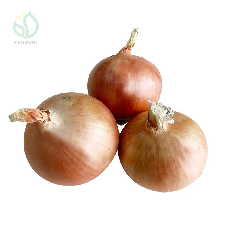 Export China Red Onions 20kg mesh bag 40-60mm