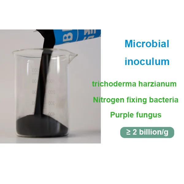 Effective Soil Condition Bio Organic Biofertilizer Trichoderma harzianum fertilizer